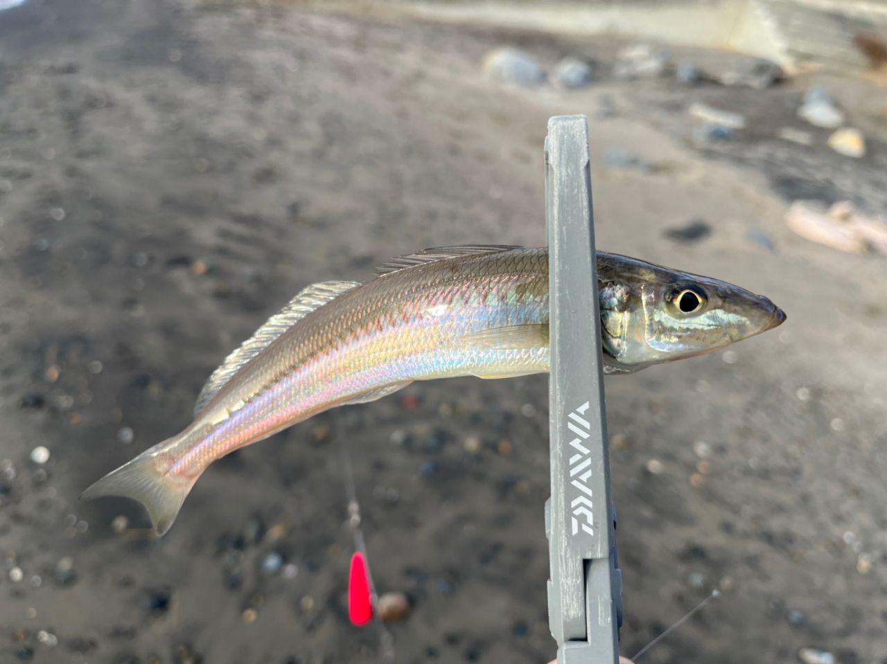 DAIWA 23エメラルダス ストイスト ST（アウトガイドモデル） 88ML-SMT