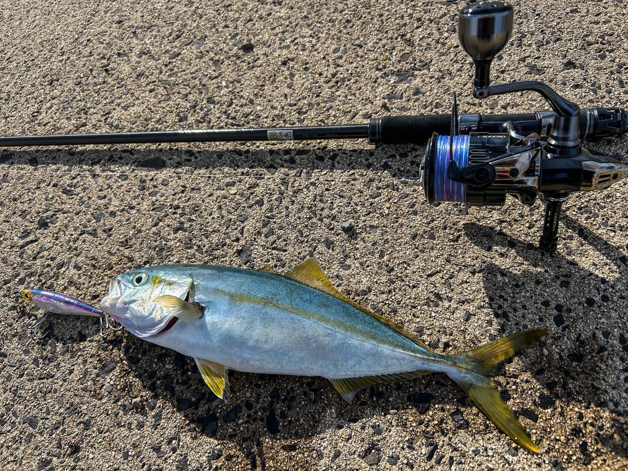 TORAY スーパーストロング PE X8 100m連結 2.0号/30.0lb/パープル