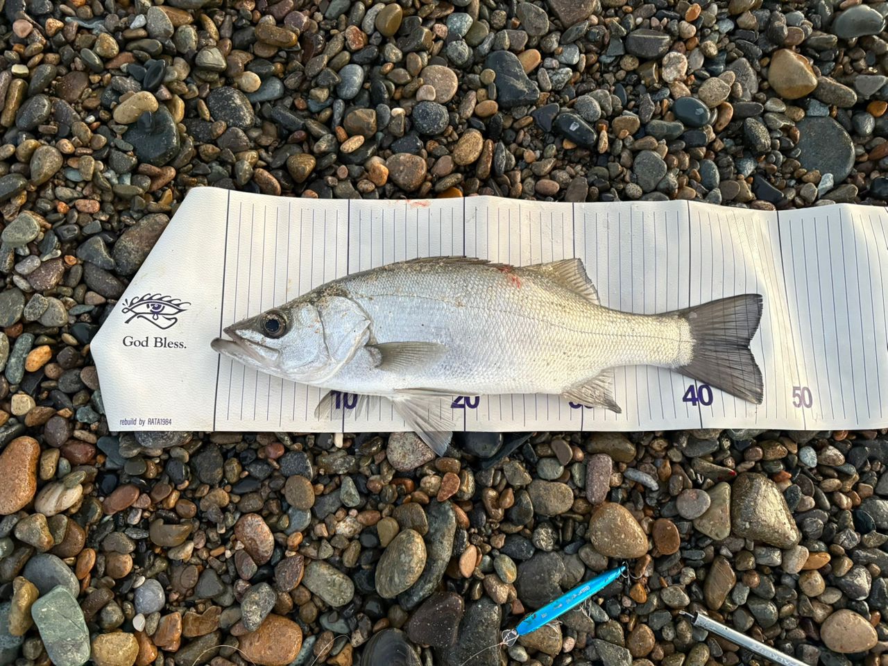 Gamakatsu ラグゼ チータ R3 110MHの最安値・インプレ・釣果 | 本音の