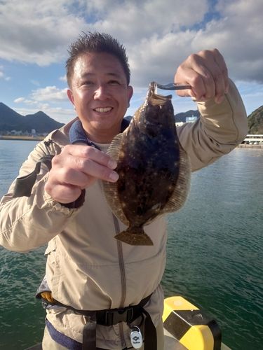 ヒラメの釣果