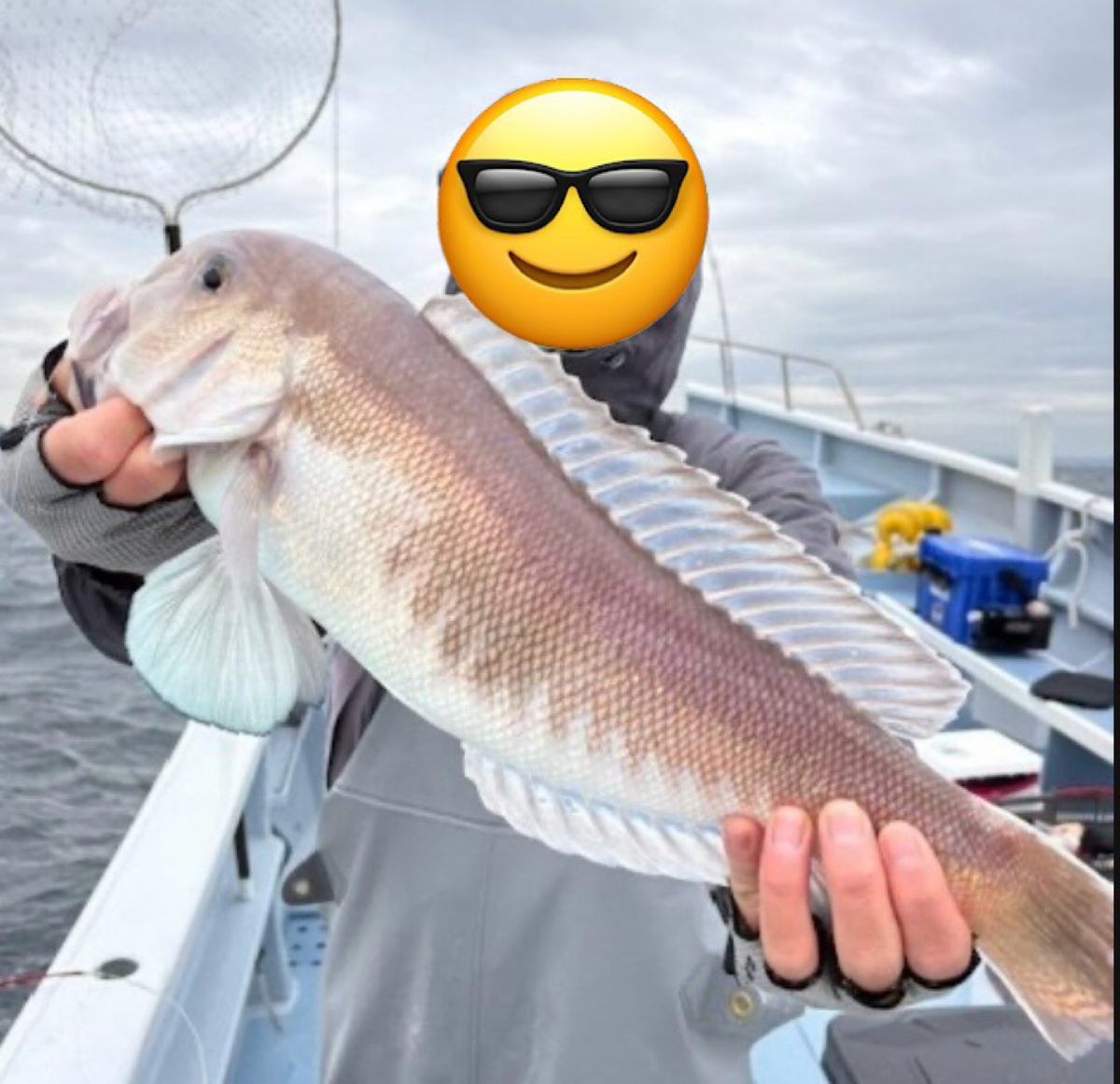 アングラー99984426うっかりカサゴさんの釣果 2枚目の画像