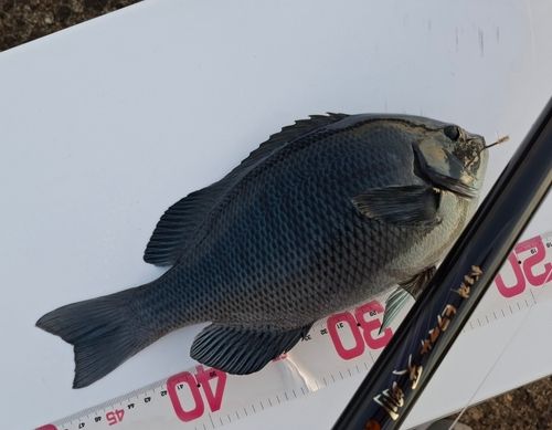 浜田港（島根）