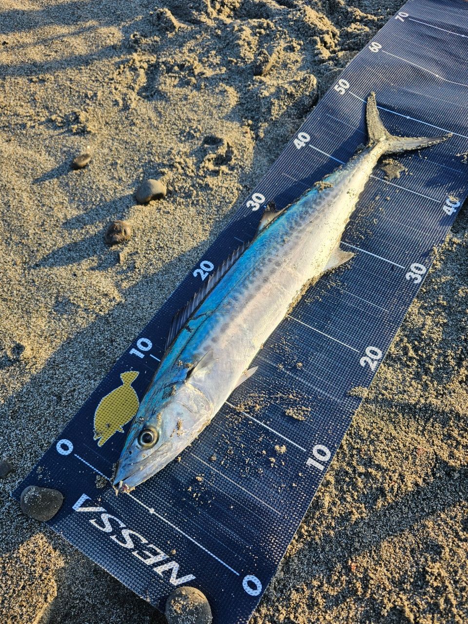 SHIMANO 22ネッサXR S108M+の最安値・インプレ・釣果 | 本音の口コミが