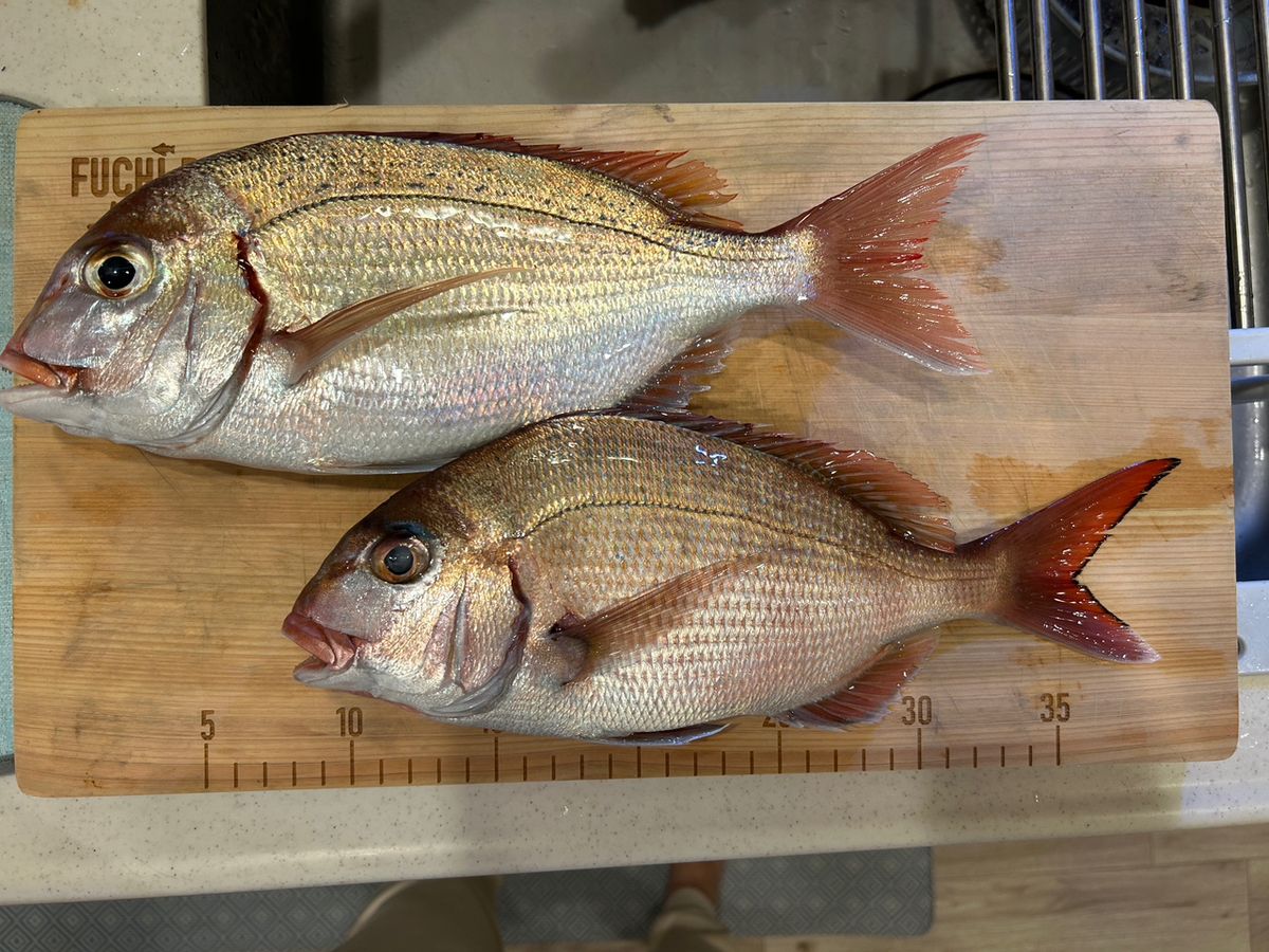 まみぞう★さんの釣果 1枚目の画像