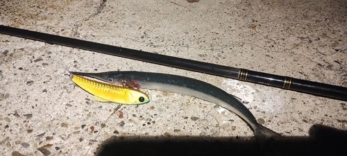 忠岡木材コンビナート