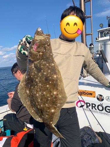 ヒラメの釣果