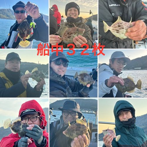 カワハギの釣果