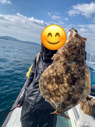 ヒラメの釣果