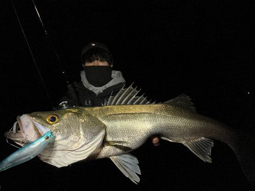 名取川上流水門前