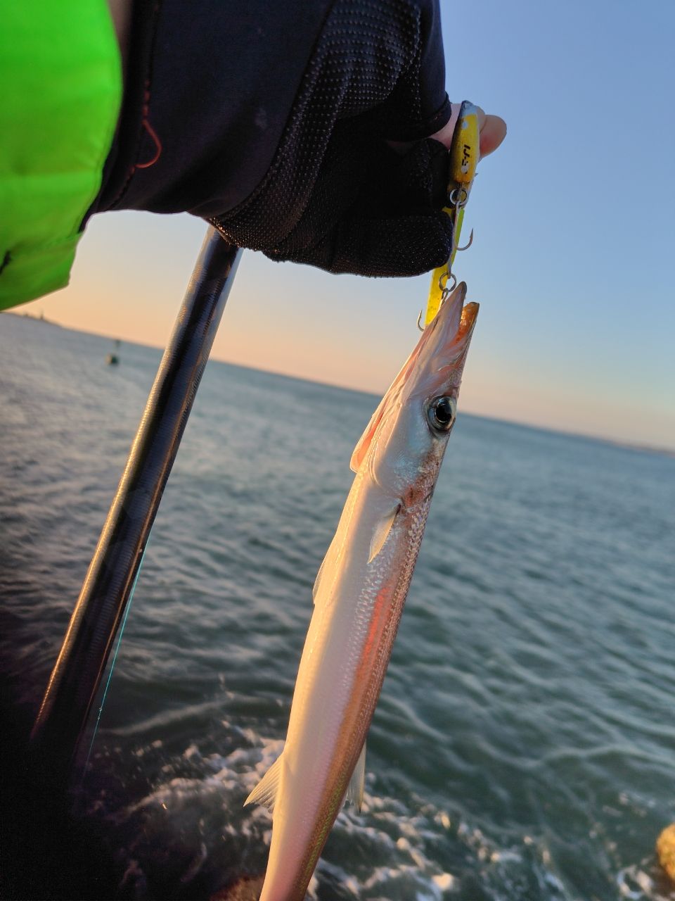 SHIMANO 22ネッサ BB S100MH+の最安値・インプレ・釣果 | 本音の口コミ