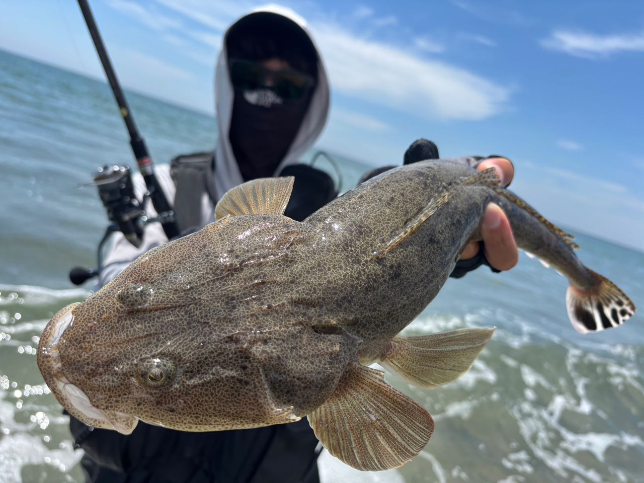 すいすーい さんの 2025年07月26日のマゴチの釣り・釣果情報(宮城県