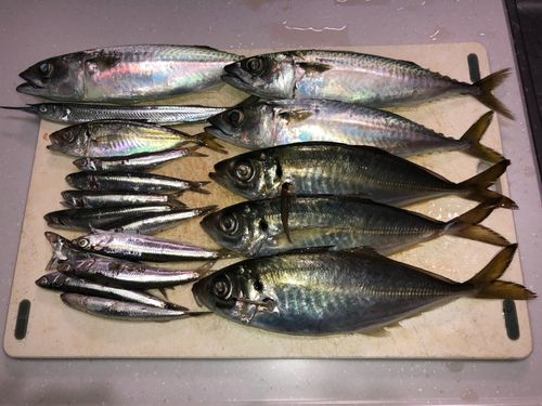 南芦屋浜ベランダ