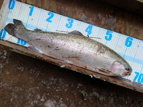 蛇尾川フィッシングパーク