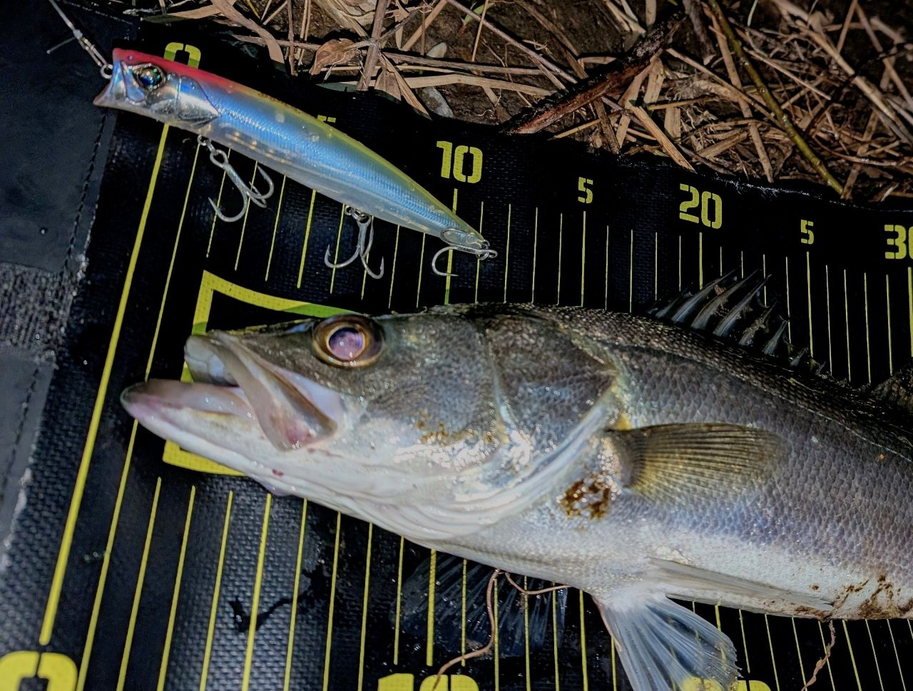 YAMAGA Blanks バリスティック TZ ナノ 94Mの最安値・インプレ・釣果