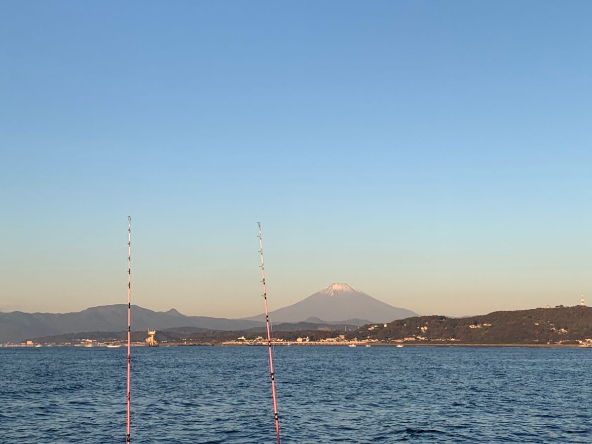 すみません、横入らせてもらっていいですかさんの釣果 1枚目の画像