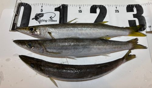 熱海港海釣り施設