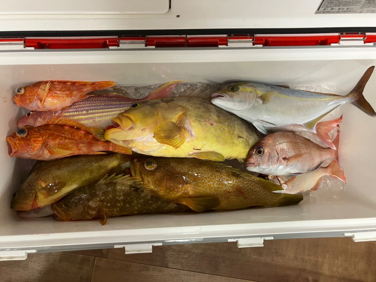 mizu3295さんの釣果 1枚目の画像