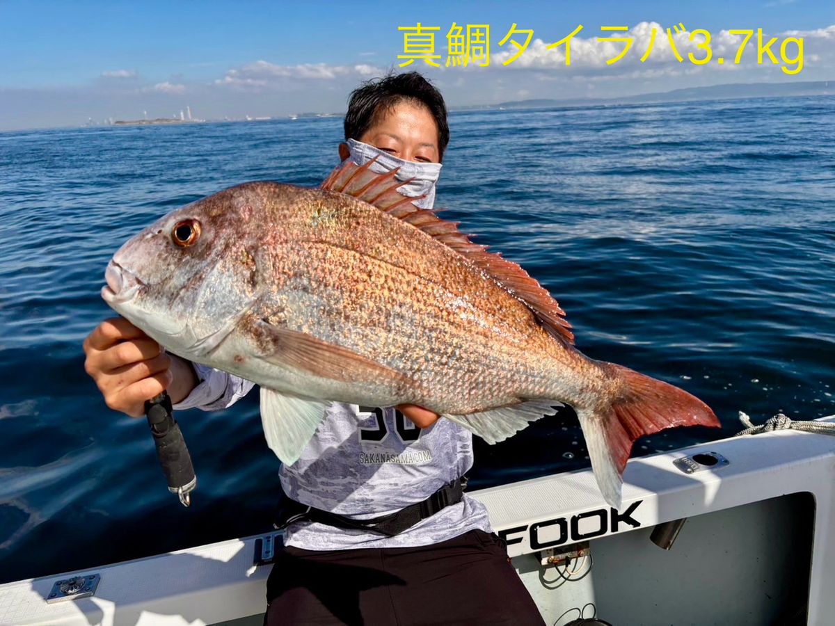 sa saさんの釣果 1枚目の画像