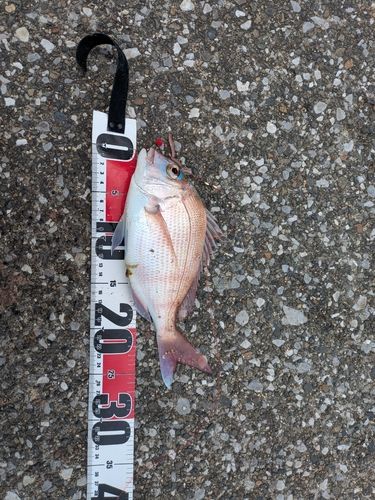 うみかぜ公園付近