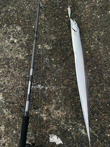 マリナタウン海浜公園