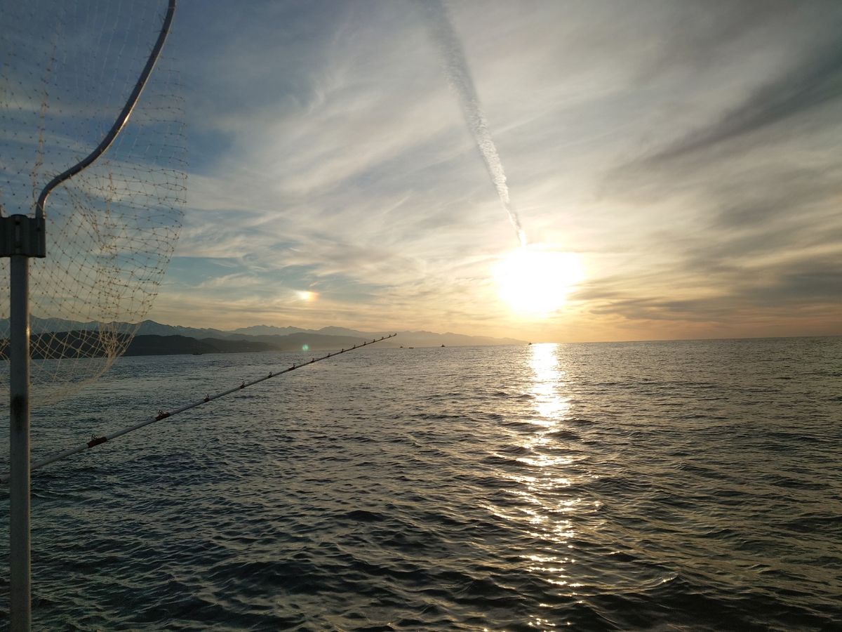 クロタカさんの釣果 1枚目の画像