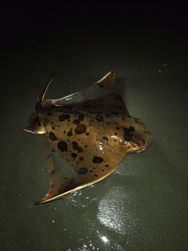 辻堂海浜公園前