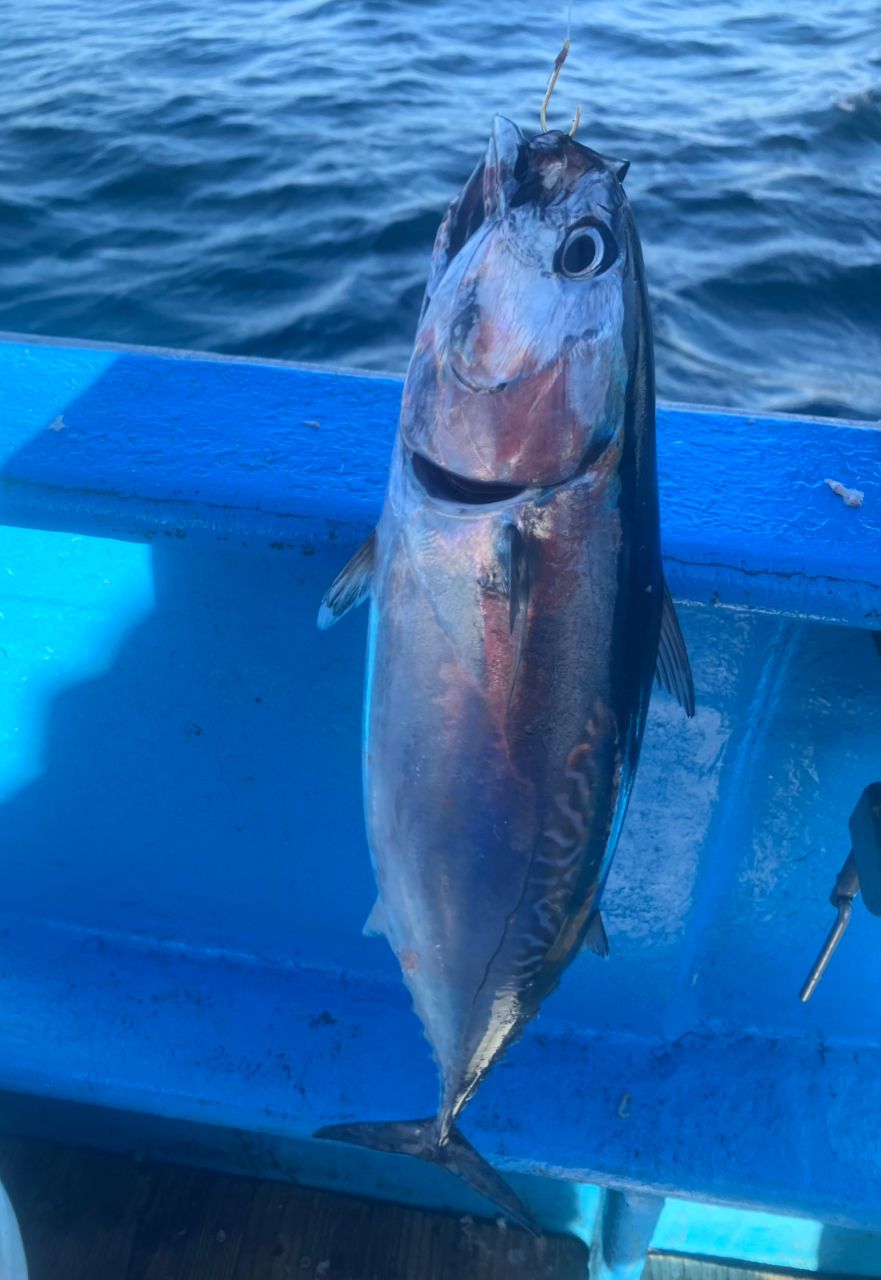 アングラーナーヒャンさんの釣果 2枚目の画像