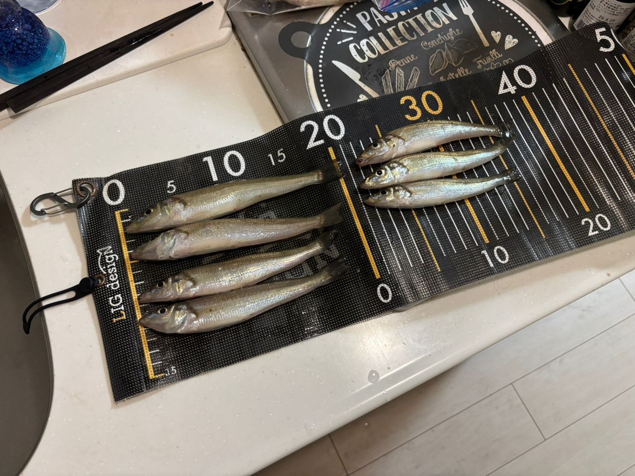 AbuGarcia ソルティースタイルシーバス STSS-962ML-KRの最安値