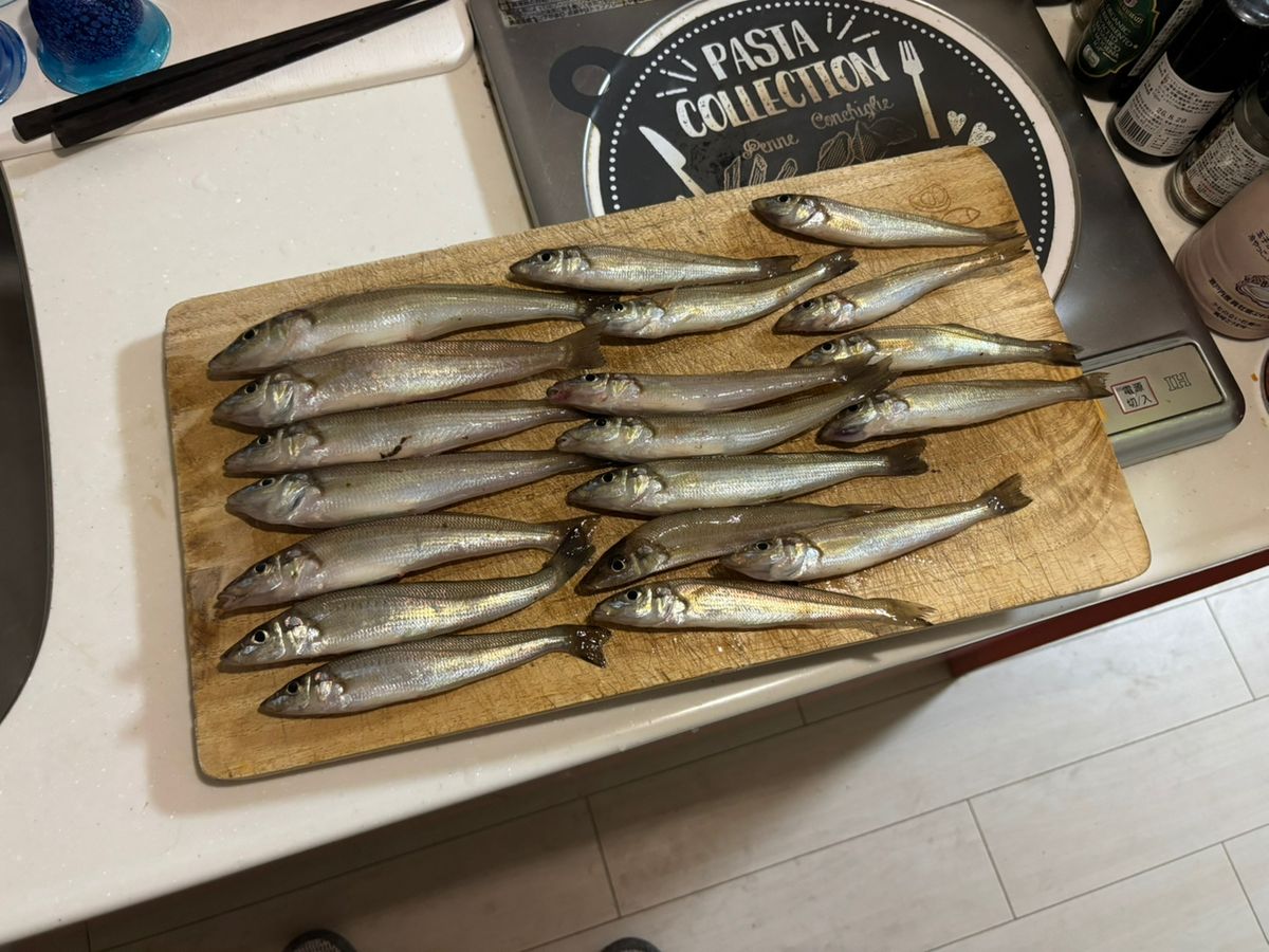 まなひなさんの釣果 2枚目の画像