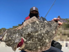ヒラメの釣果