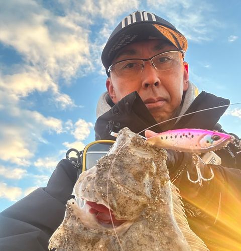 ヒラメの釣果