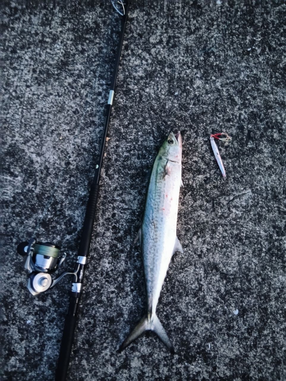 APIA グランデージ アトラス BLUE RUNNER 100MHの最安値・インプレ