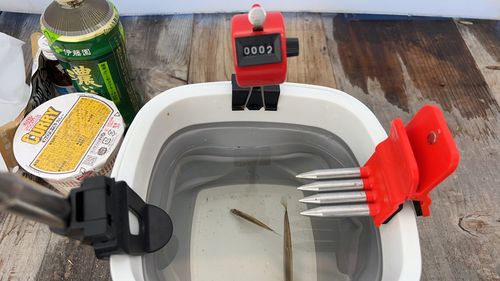 ワカサギの釣果