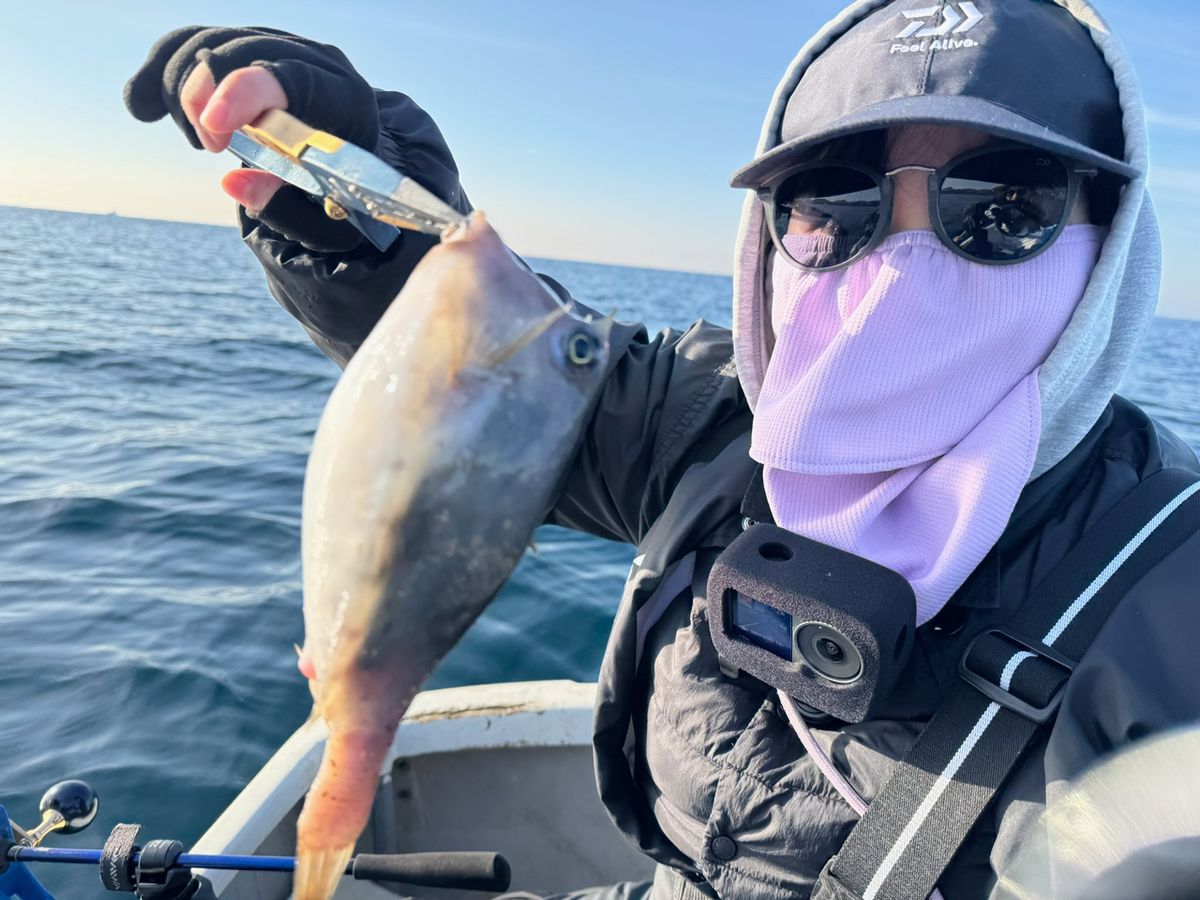 あや🐟さんの釣果 1枚目の画像