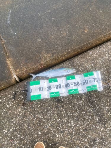 神戸空港親水護岸