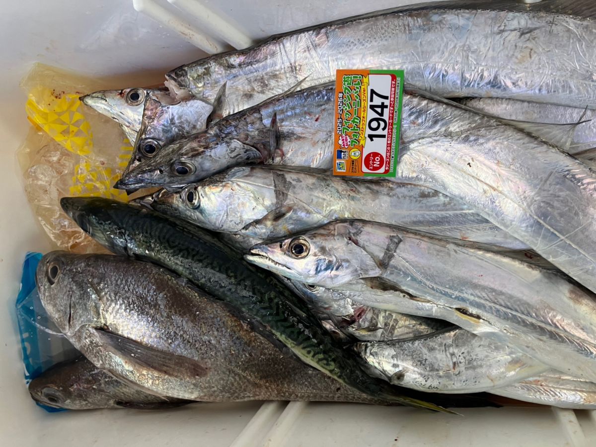 好正さんの釣果 1枚目の画像