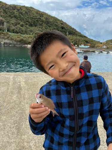 チャリコの釣果