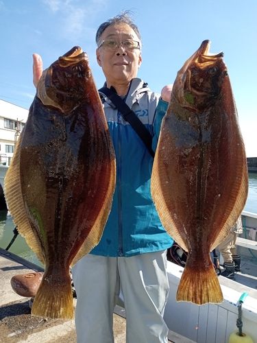 ヒラメの釣果