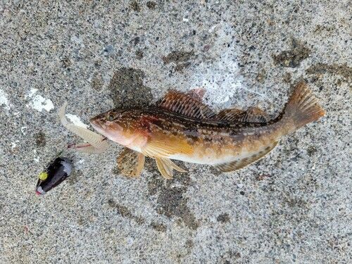 三陸海岸（岩手）