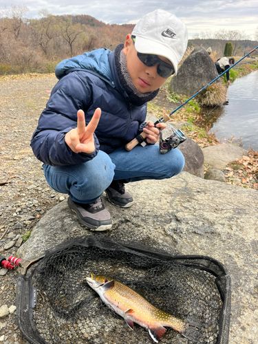 トラウトの釣果