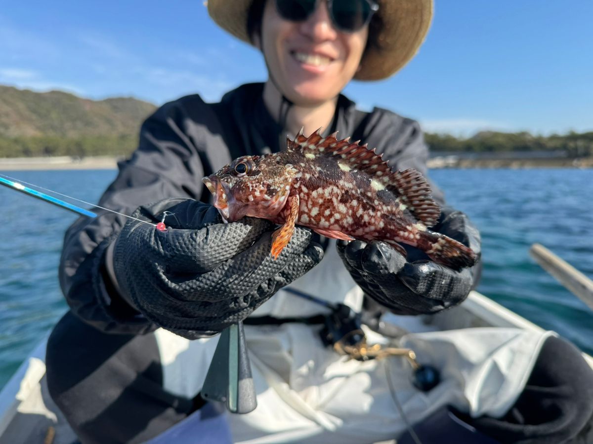 彩鷹さんの釣果 1枚目の画像