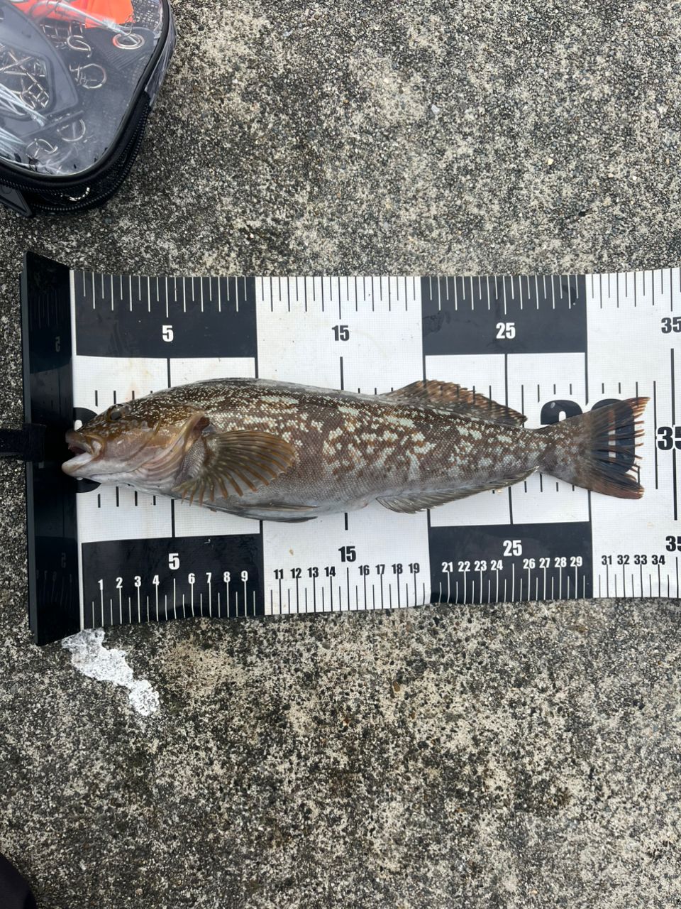 SHIMANO 21ハードロッカー エクスチューン S83MHの最安値・インプレ