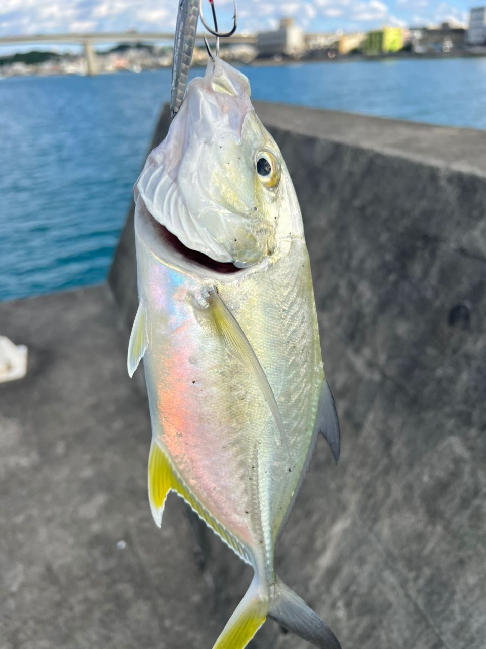 SHIMANO 20ワールドシャウラ ドリームツアーエディション 2832RS-5の最