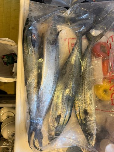 忠岡木材コンビナート