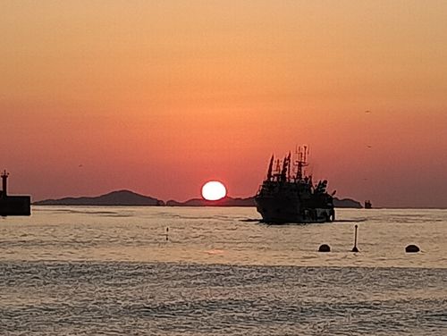 チンチンの釣果