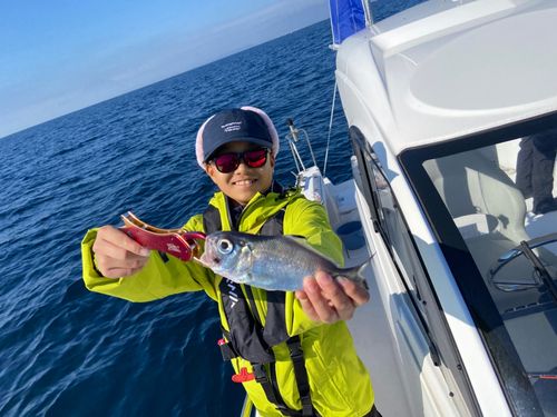 ギンメダイの釣果