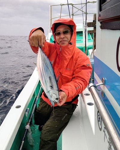 カツオの釣果