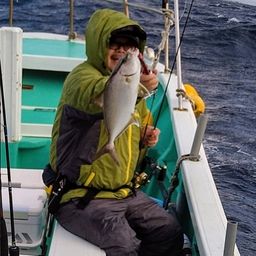 ヒレナガカンパチ