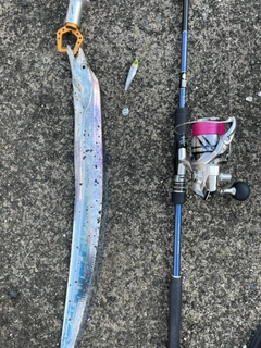 タチウオの釣果