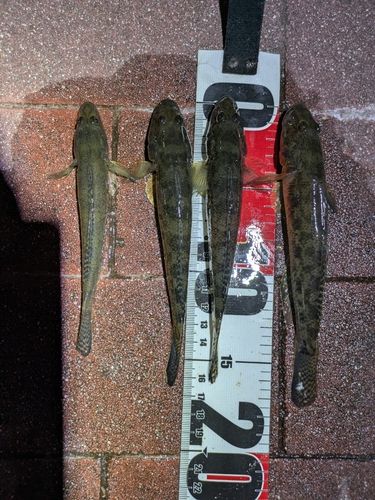 豊洲ぐるり公園